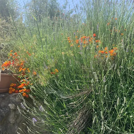 Andalucian Serenity At Cortijo Lucero